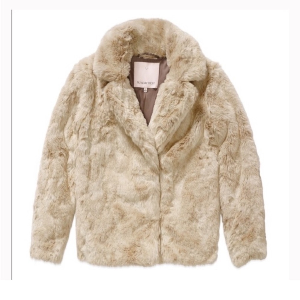 Aritzia Faux Fur Coat in Cream